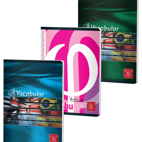 VOCABULAR 24F COLOR PIGNA