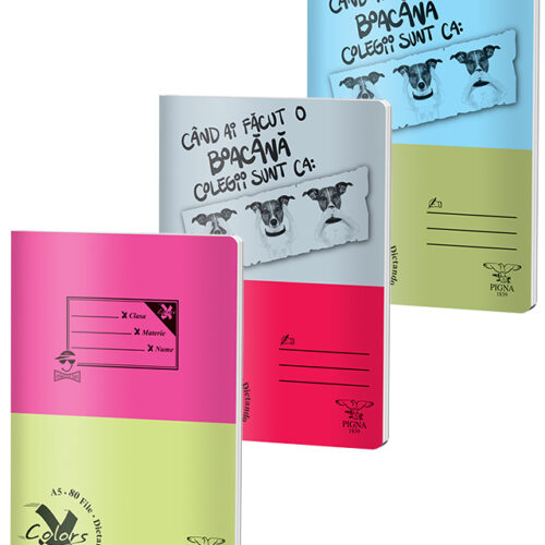 CAIET A5 80F DICTANDO BASIC PIGNA