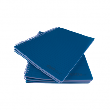 Caiet A4 cu spira metalica, coperti plastic, 100 file - matematica EVOffice