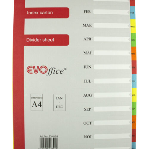 Index carton Ian-Dec EVOffice