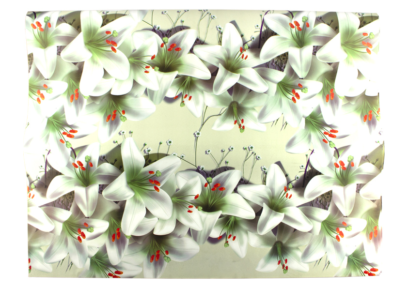 Hartie cerata (pentru ambalare cadou) 70*100cm - diverse modele