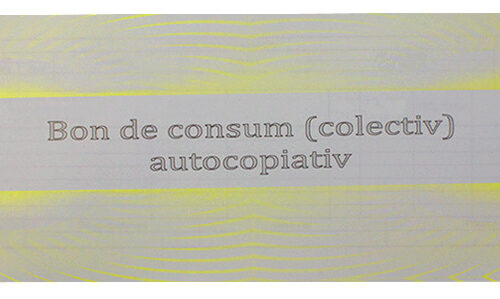 Bon consum A5 autocopiativ 2 exemplare