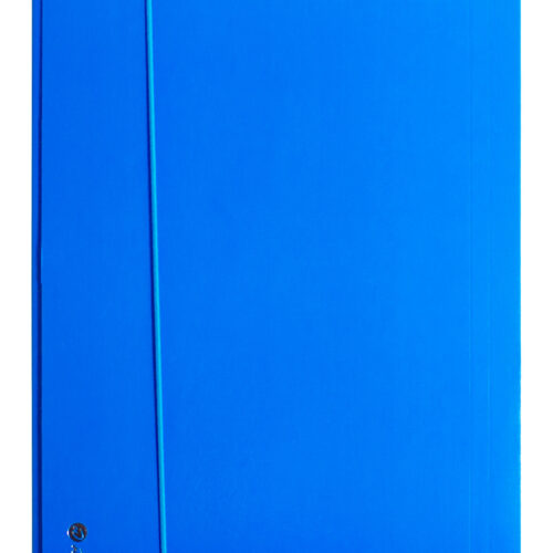 Mapa carton lucios A4 (345*250mm) 700g cu elastic pe latura mare Willgo -Albastru