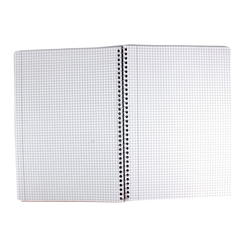 Caiet A4 cu spiră plastic Willgo – 120 file, matematica, copertă plastic, microperforații - imagine 2